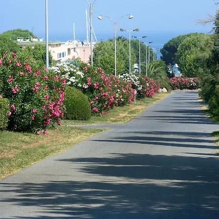 Les Oiseaux-1 By Interhome